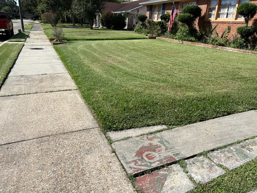 Freshly maintained lawn and landscaping in front of a New Orleans home